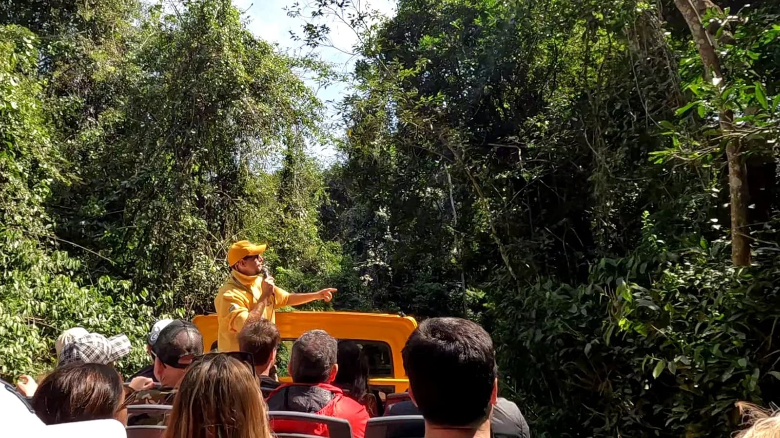 Bilingual guide in a yellow cap explaining the rainforest to passengers seated in the open truck on the jungle trail