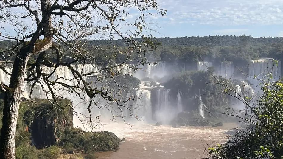 Iguazu Falls framed by Atlantic Forest on the Brazilian-side trail