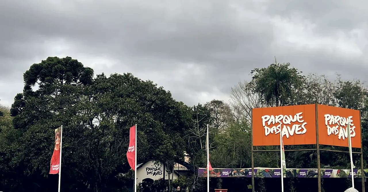 Seen from the Helisul helipad on Av. das Cataratas: the entrance flags of Parque das Aves on the opposite side of the road.